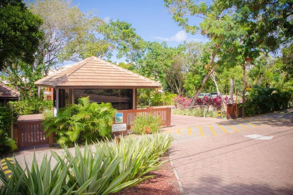 Apartment Apartamento Amplo Com Varanda Aconchegante - 10 Min A Pe Da Vila De Praia Do Forte