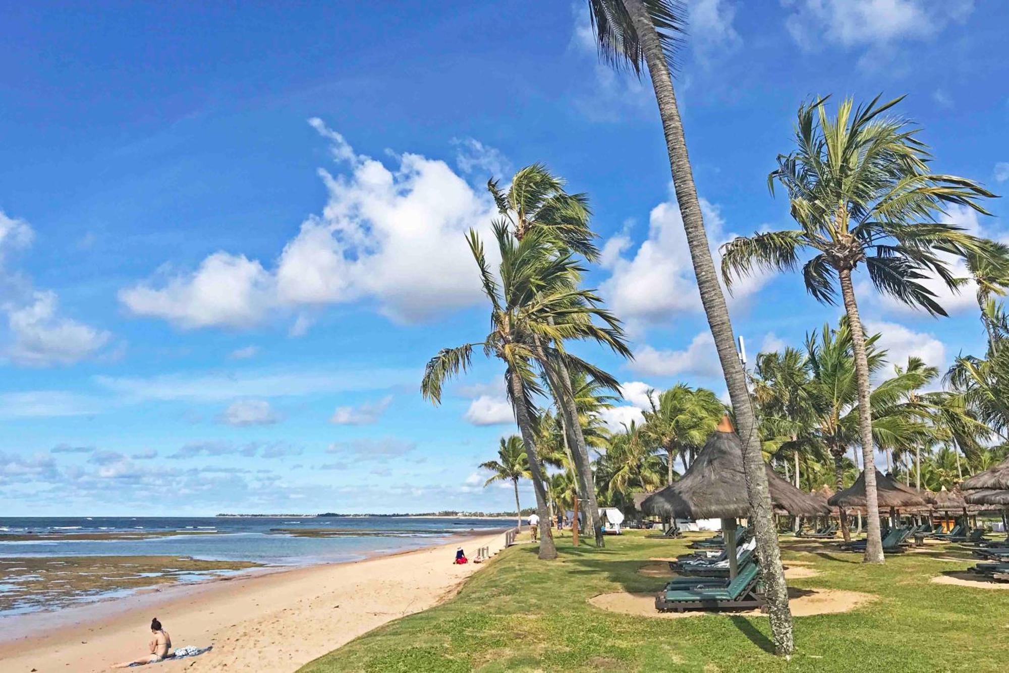 Apartamento Amplo Com Varanda Aconchegante - 10 Min A Pe Da Vila De Praia Do Forte Praia do Forte