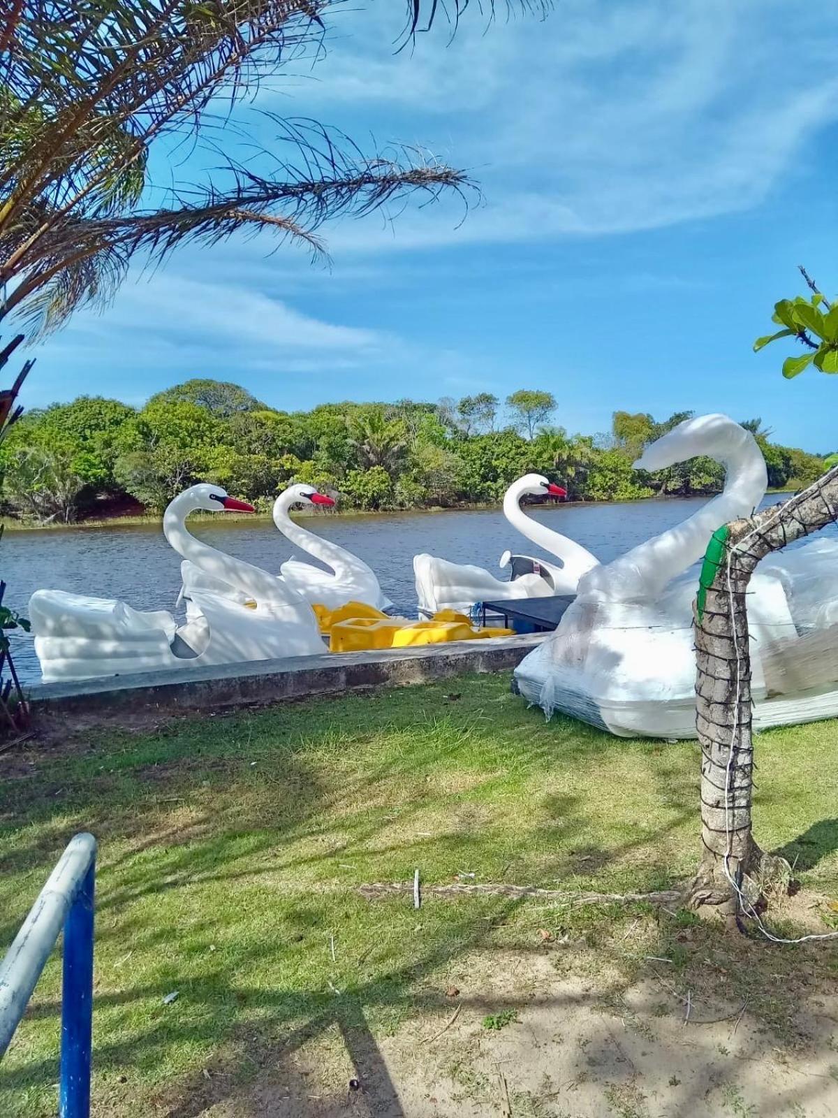 Apartamento Amplo Com Varanda Aconchegante - 10 Min A Pe Da Vila De Praia Do Forte Praia do Forte
